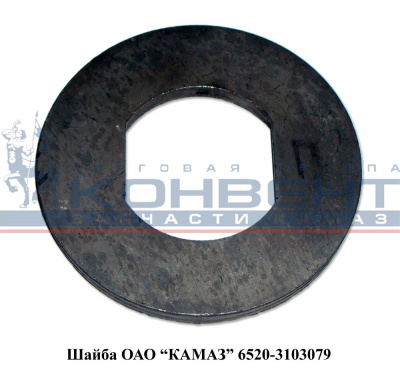 купить Шайба замковая 6520 / ПАО КамАЗ